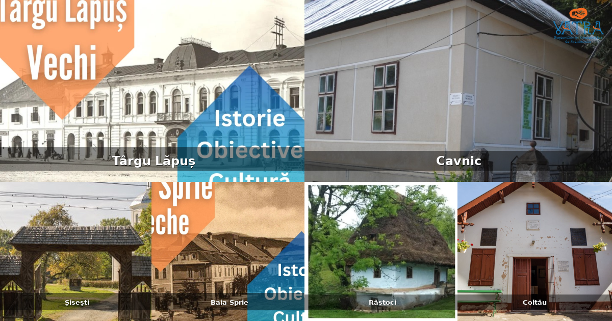 Atracții, monumente și obiective turistice din Târgu Lăpuș