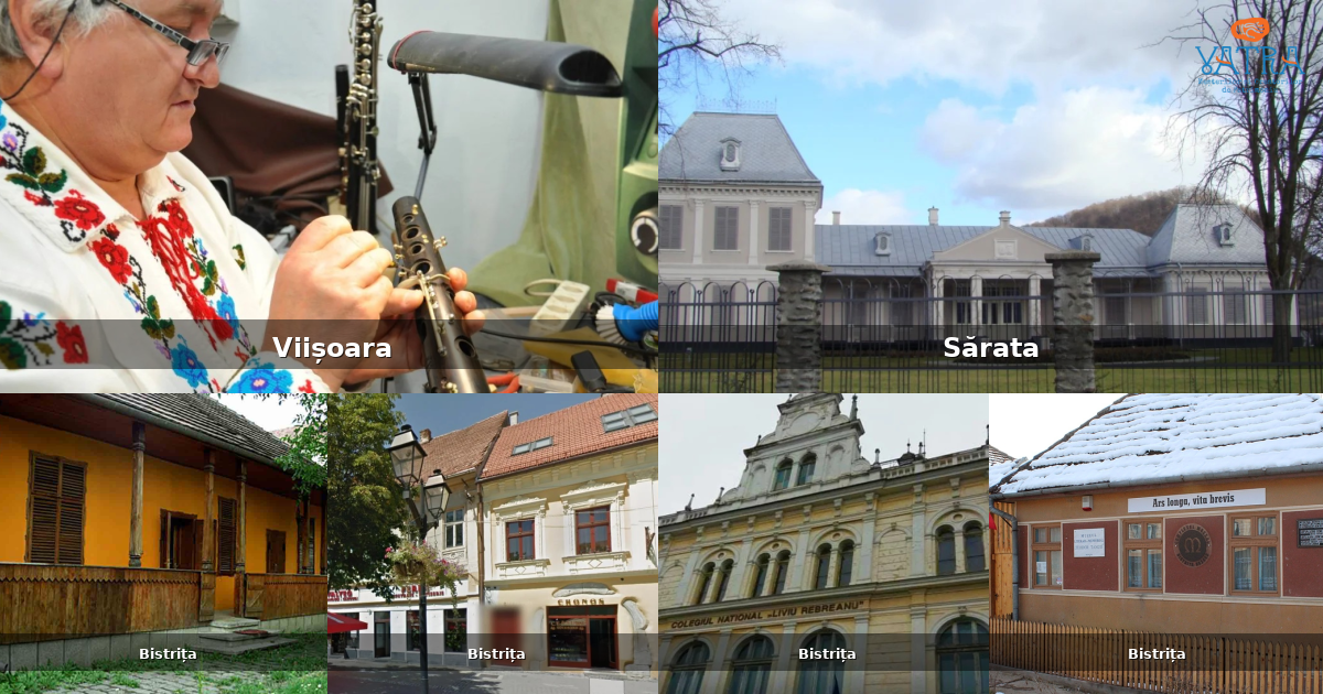 Atracții, monumente și obiective turistice din Viișoara