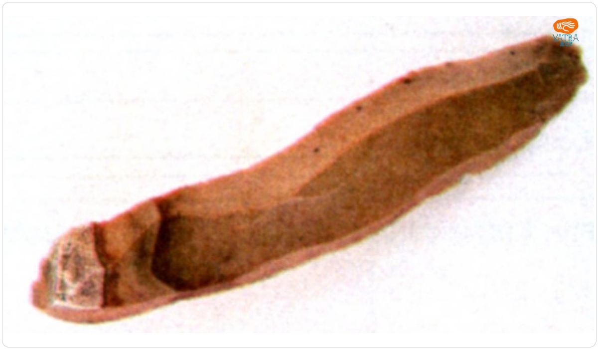 Lamă de silex