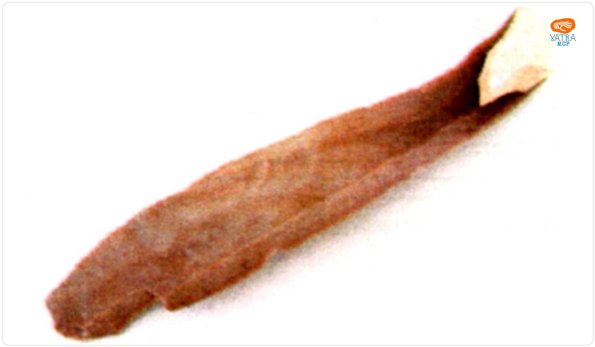 Lamă