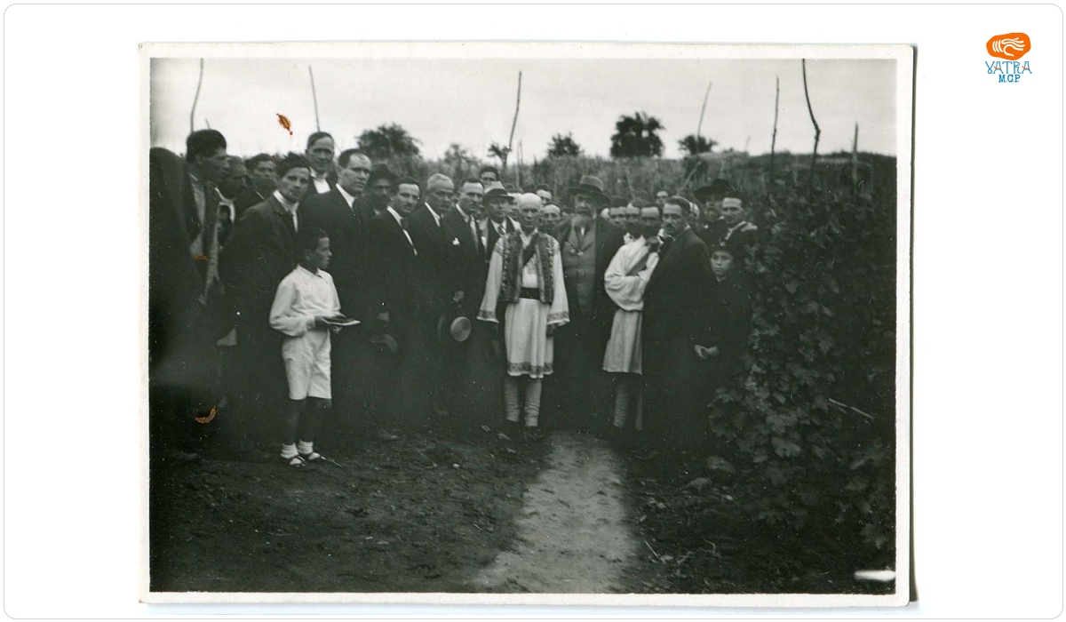 Nicolae Iorga în viile de la Cotnari