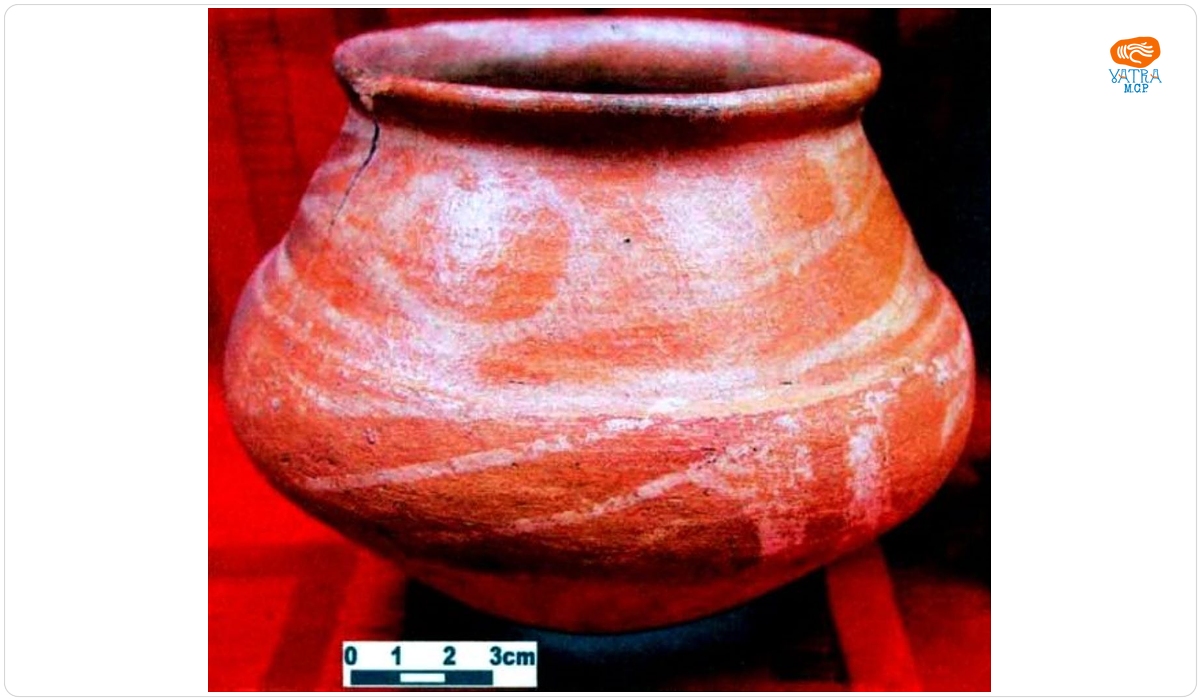 Cupă
