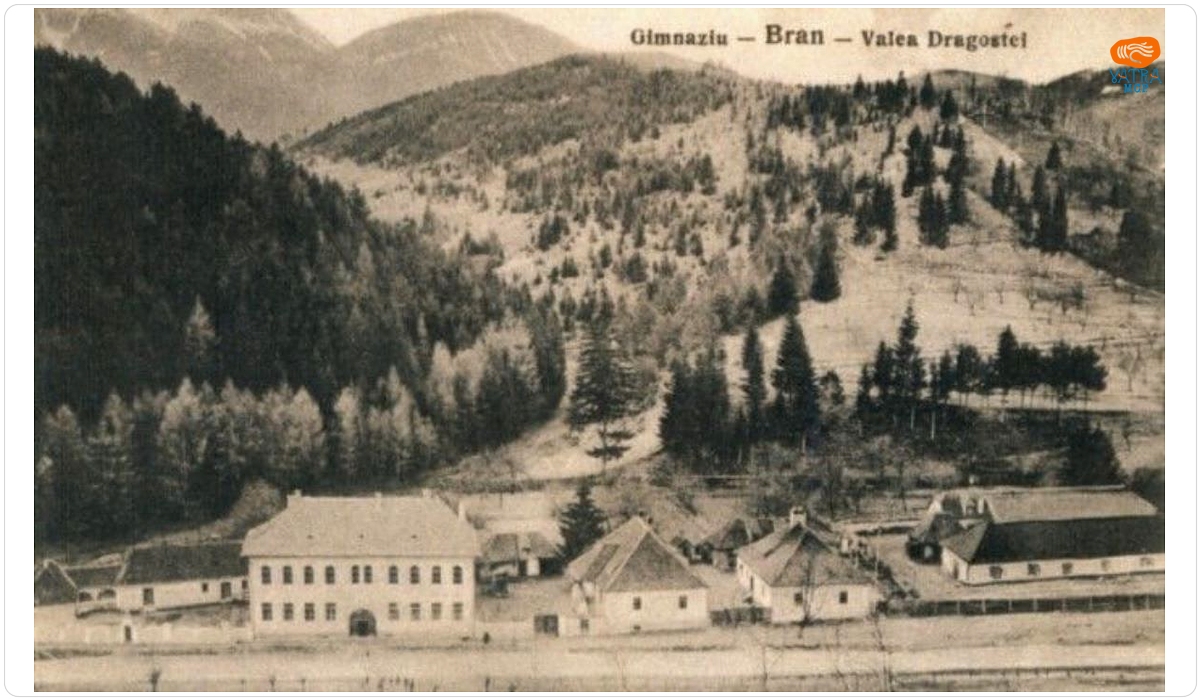 Alfred Adler — Vedere din Bran