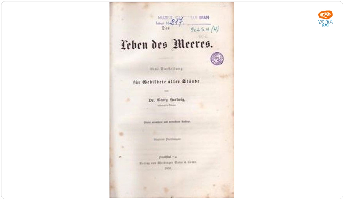 Das leben des meeres