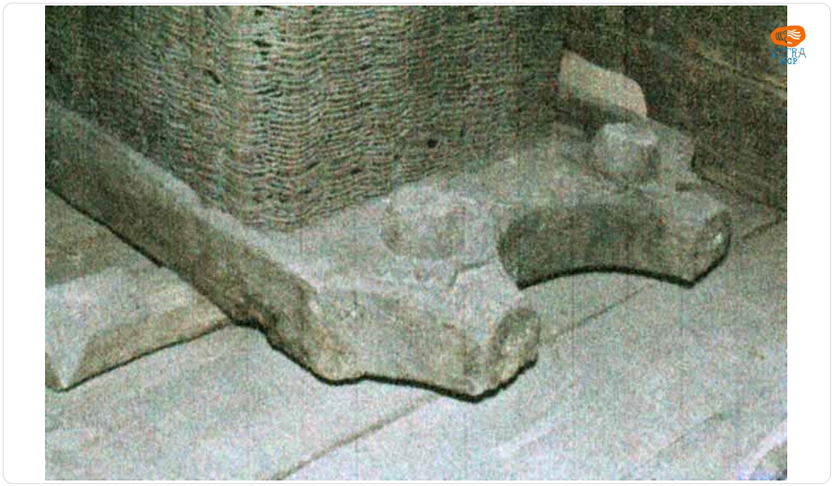 Călcătoare de struguri
