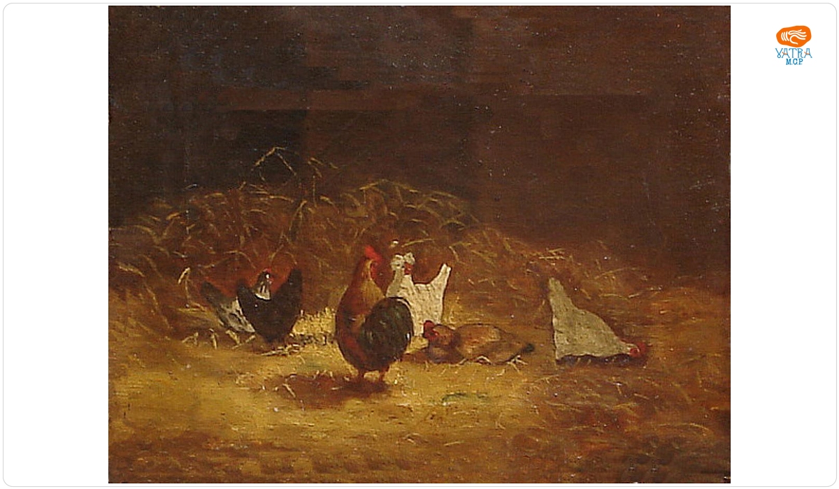 Găini