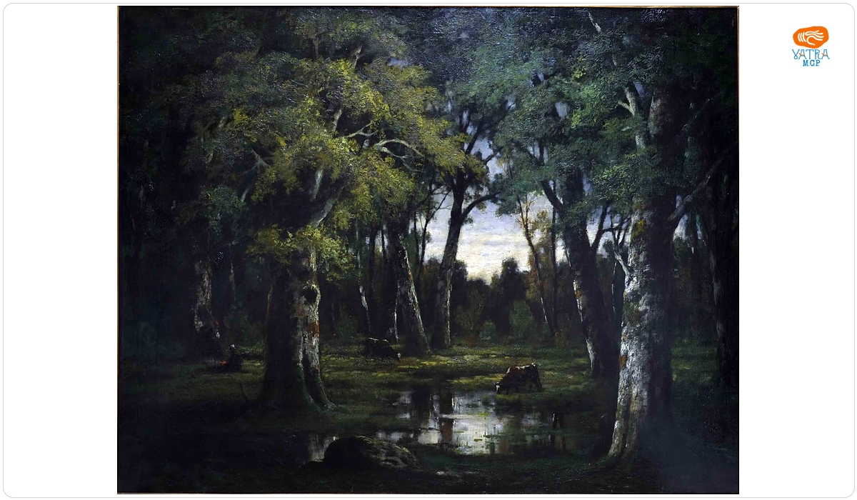 Peisaj în pădure
