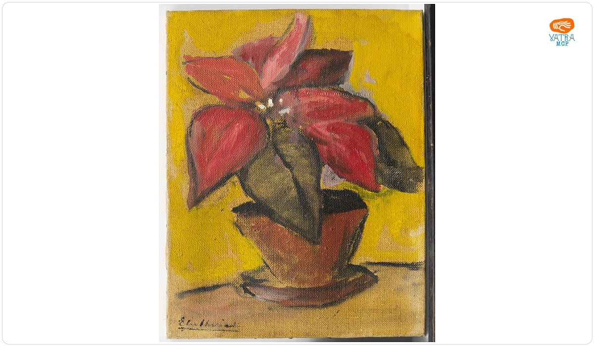 Plantă exotică din Cuba