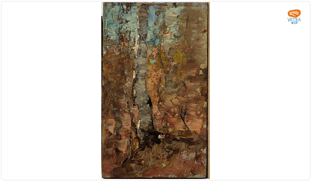Arbore
