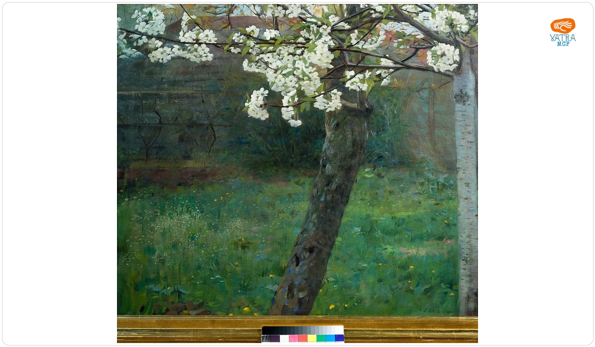 Constantin Artachino — Copac înflorit