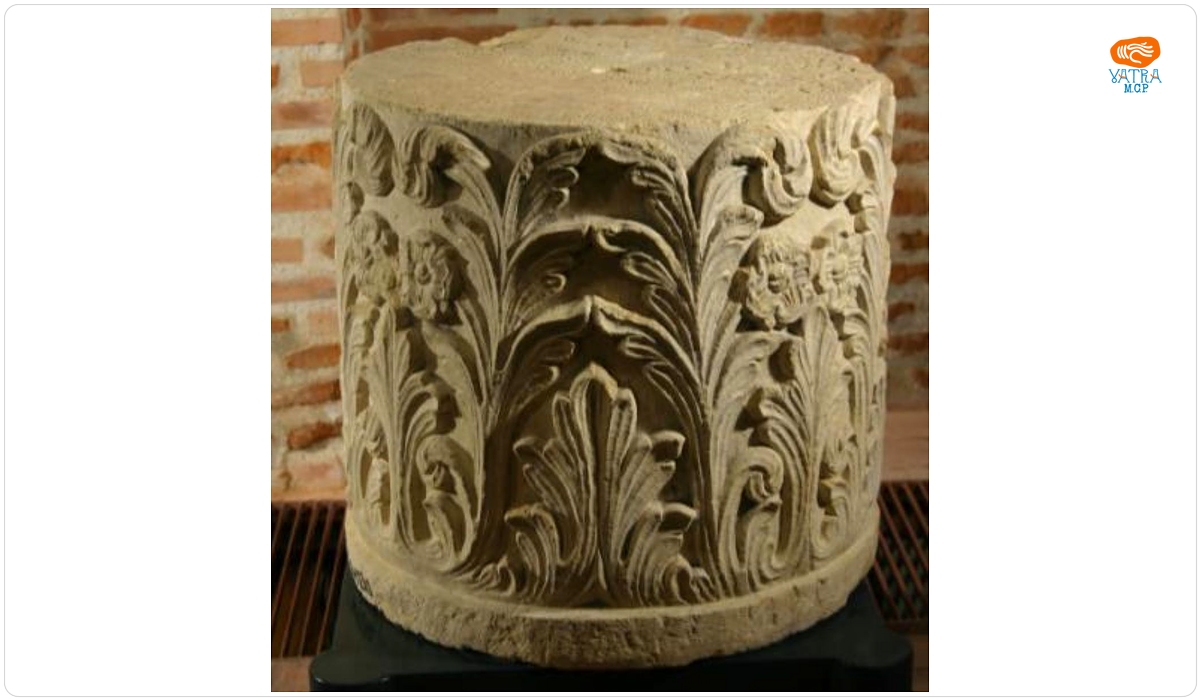 Fus de coloană