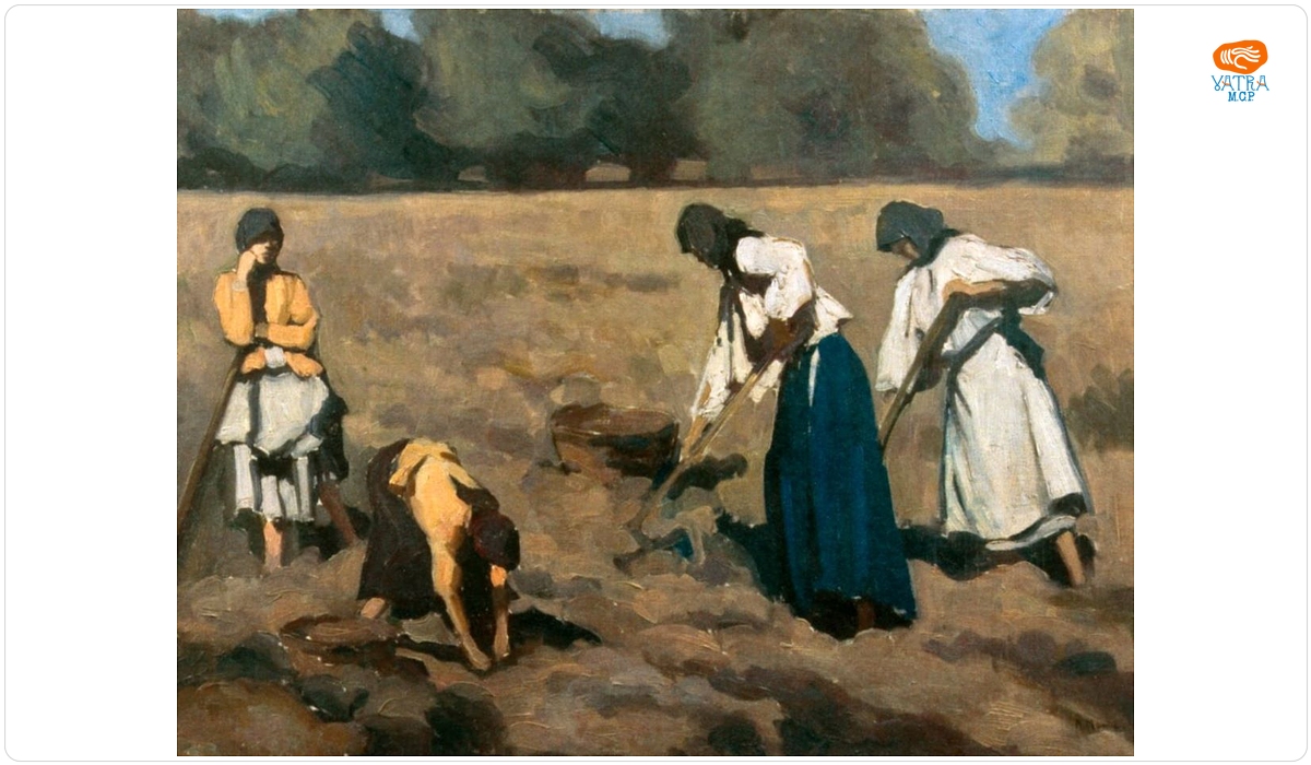 Rodica Maniu Mützner — Culesul cartofilor