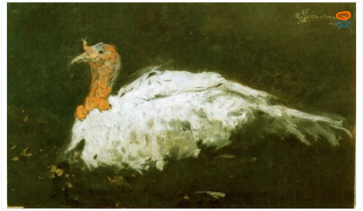 Eustațiu Stoenescu — Curcan alb