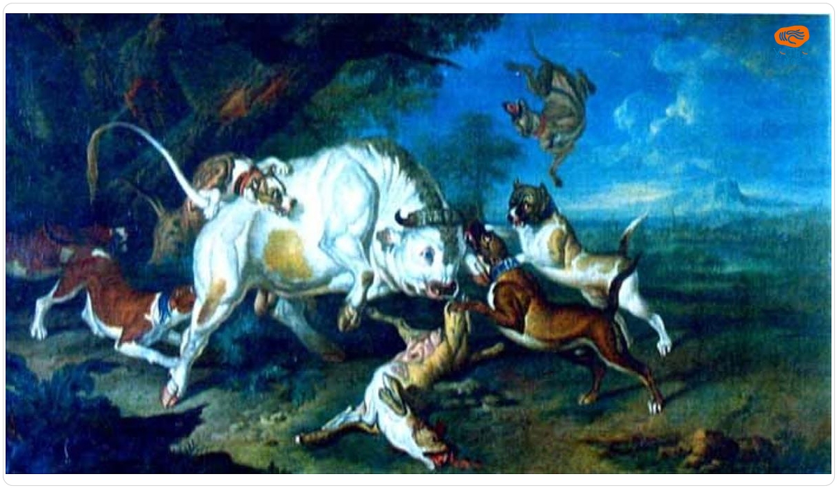Philipp Ferdinand Hamilton — Taur atacat de câini