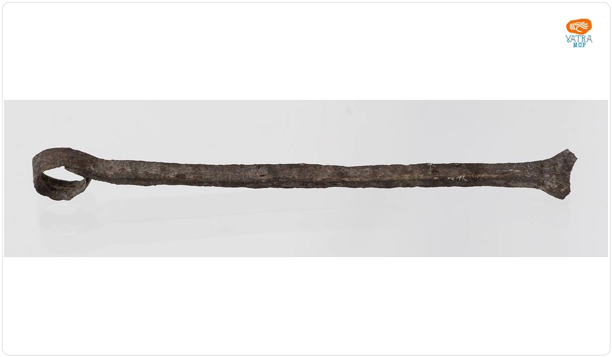 Auriscalpium