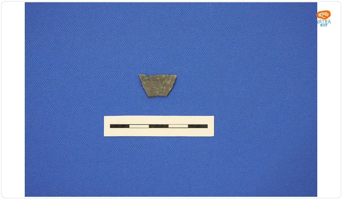 Trapez tardenoisian
