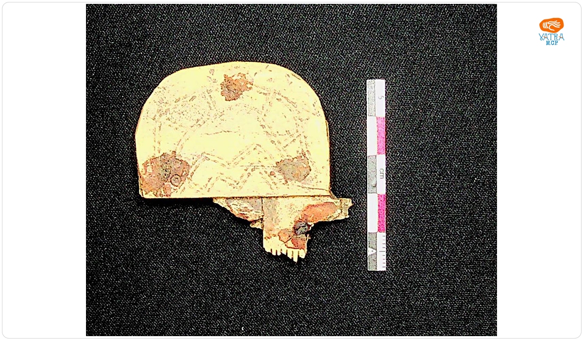 Pieptene