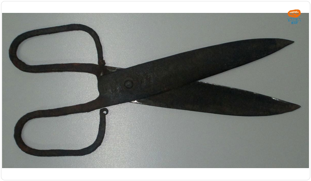 Foarfecă pentru tuns oile