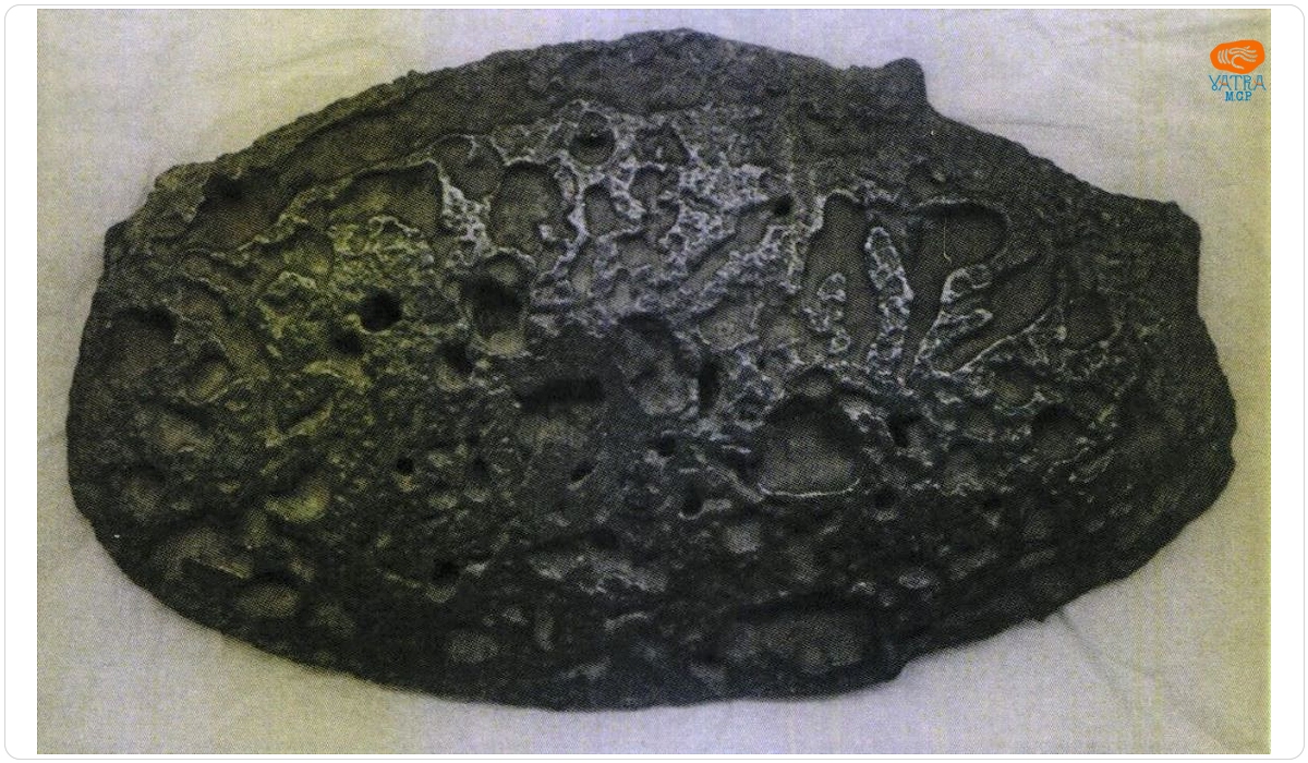 Turtă