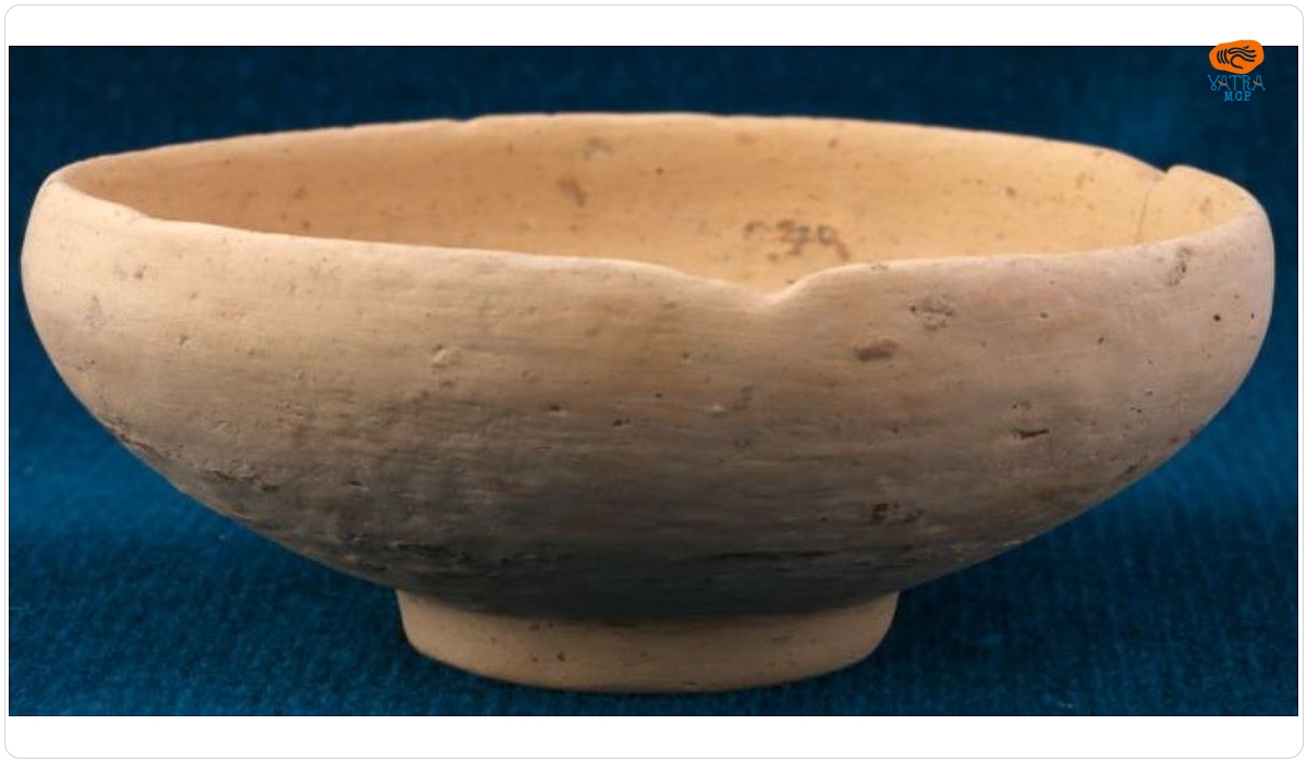 Cupă-bol