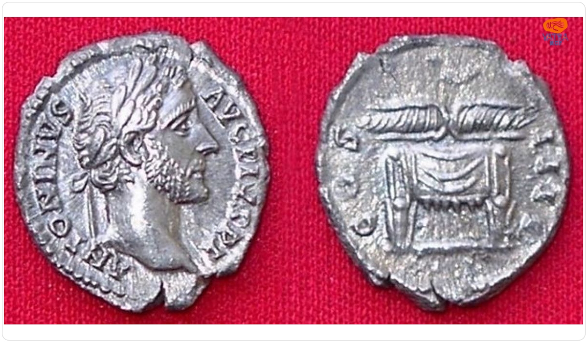Pius Antoninus — Denar