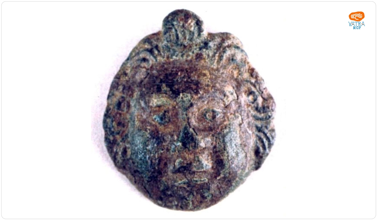 Aplică - Gorgonă