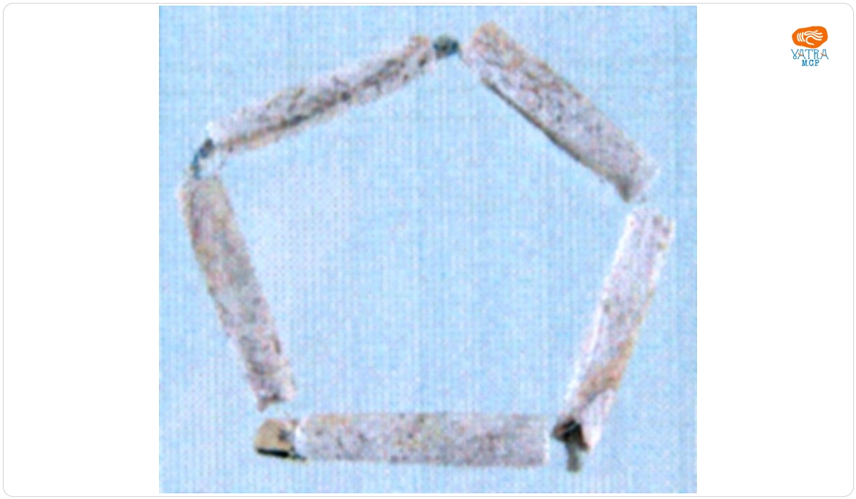 Mărgea din scoică Spondylus