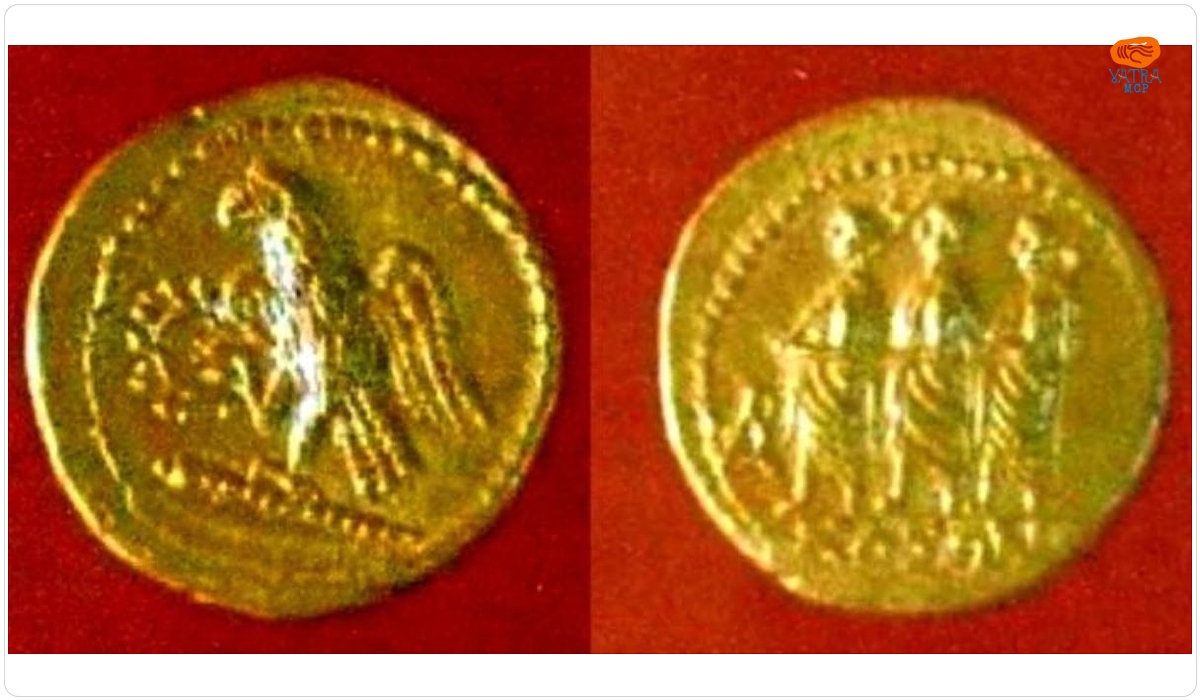 Stater