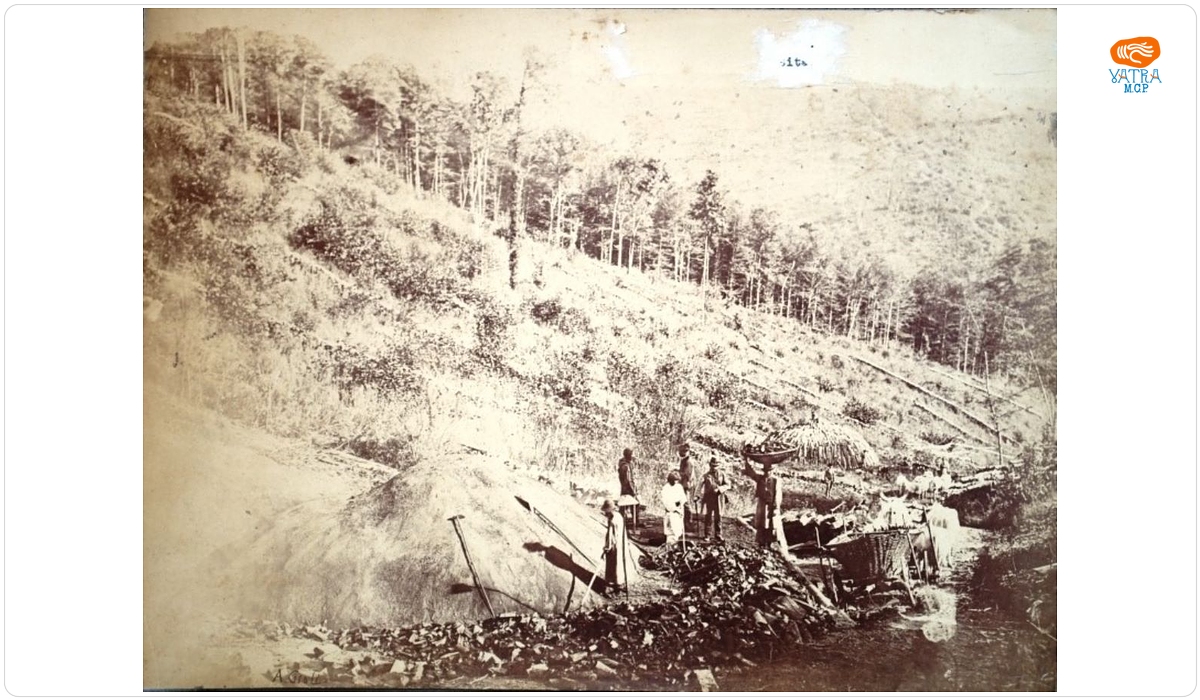 Andreas Groll — Lucrători forestieri