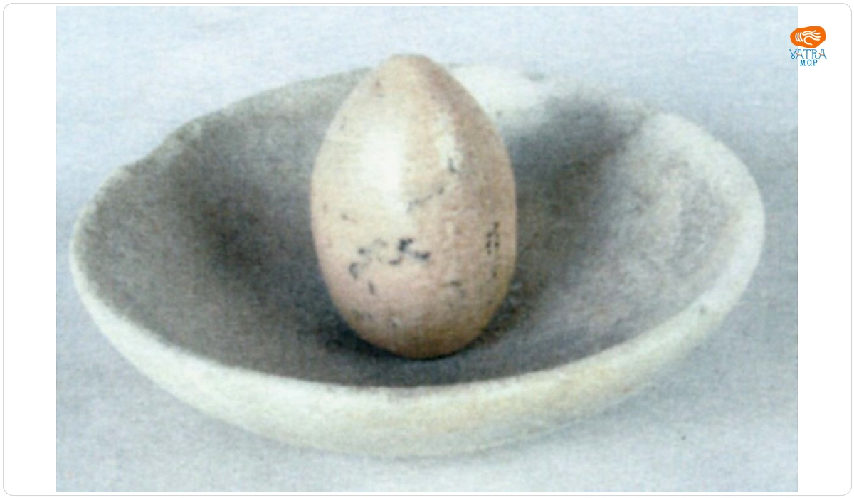 Frecător cu farfurie și oval
