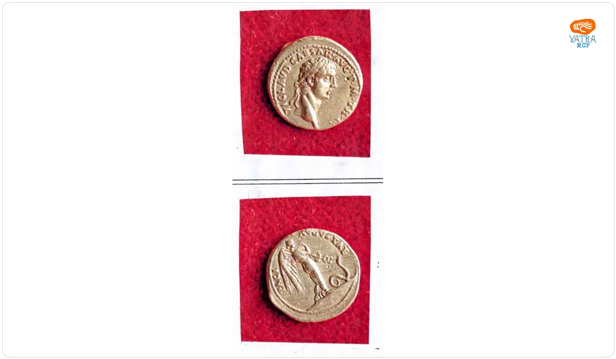 Aureus