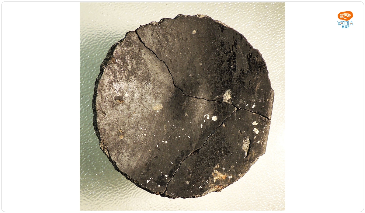 Disc