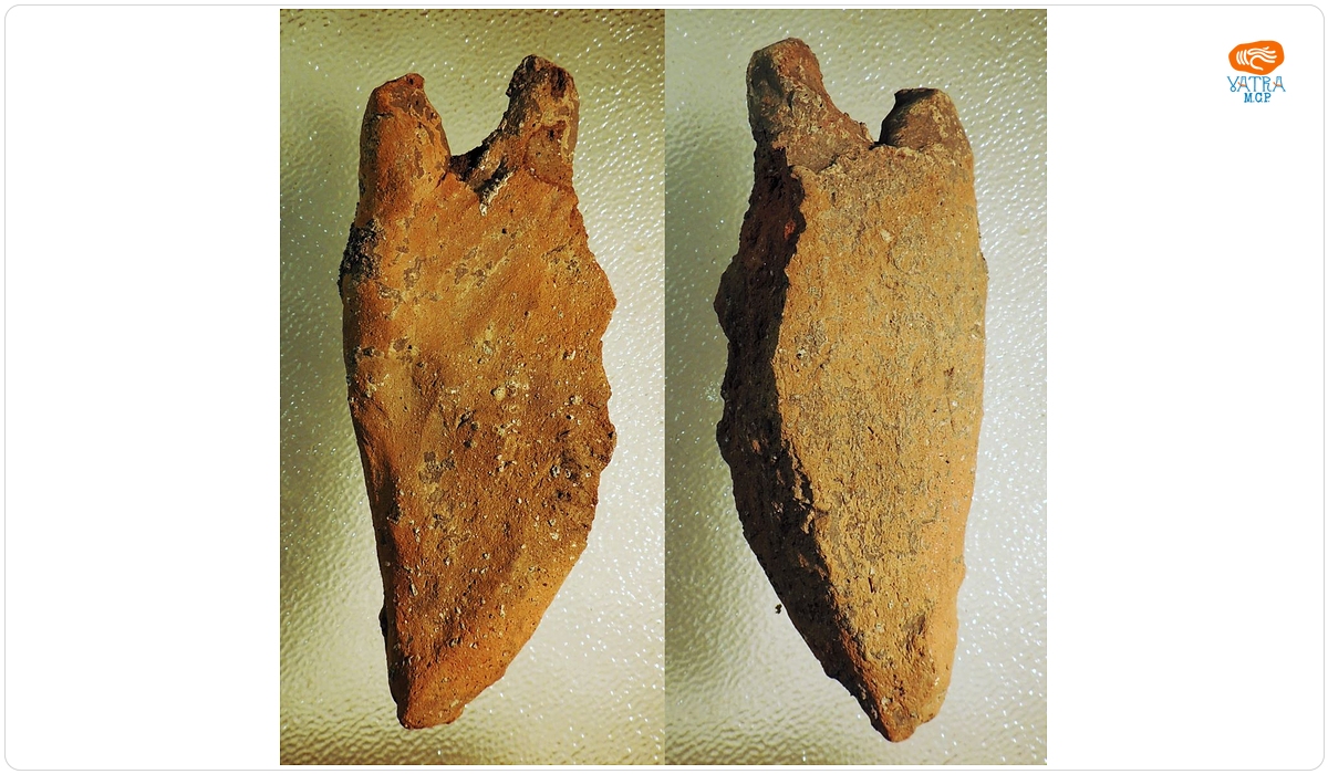 Reprezentare palmară ceramică