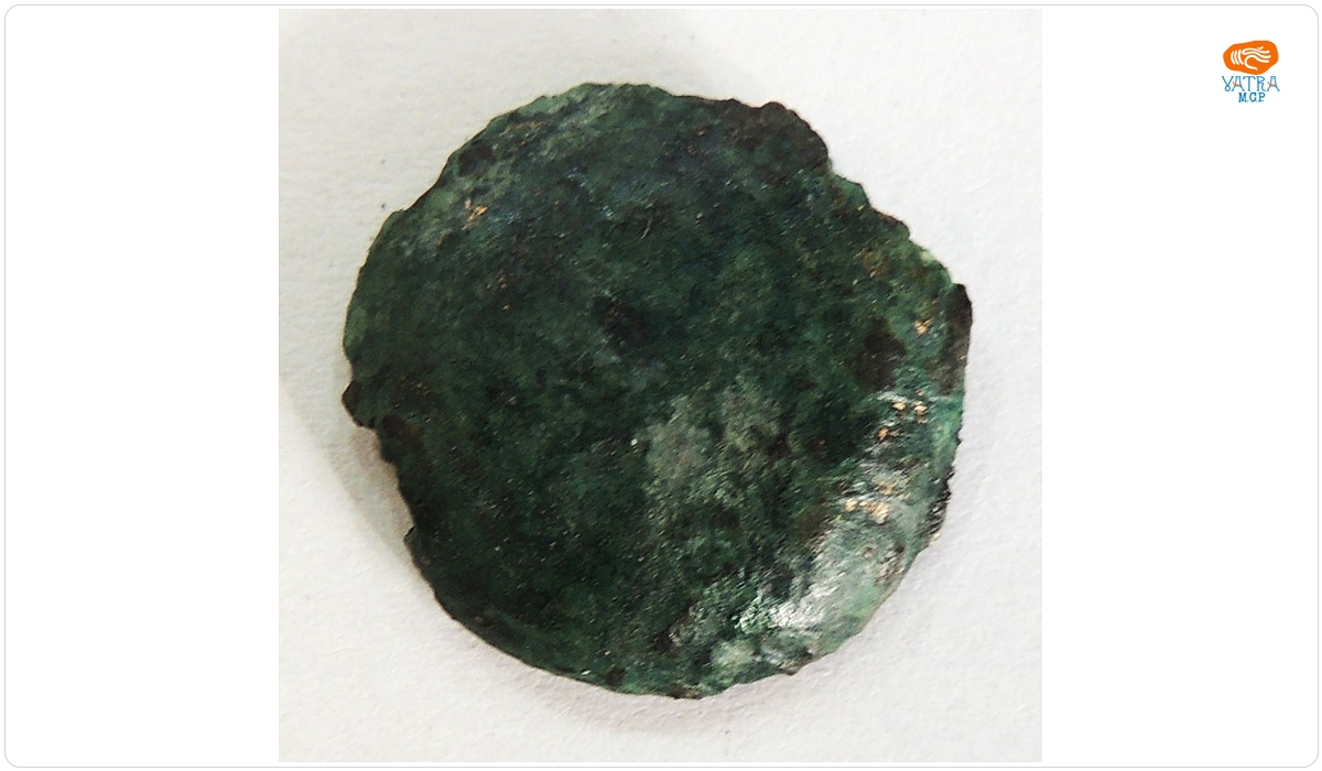 Nasture de bronz