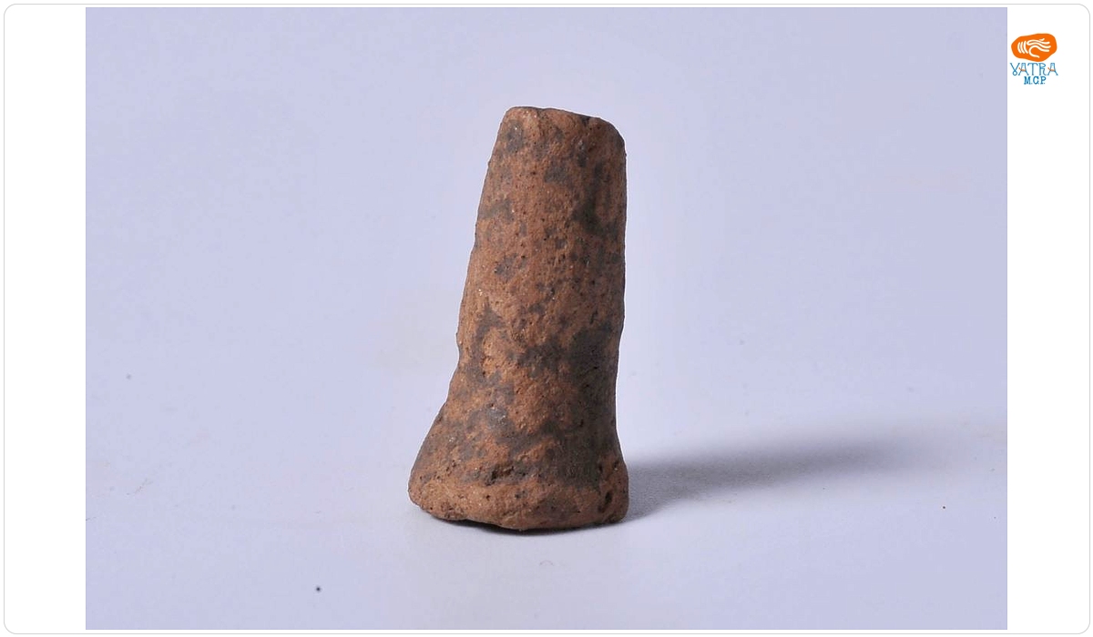 Phallus