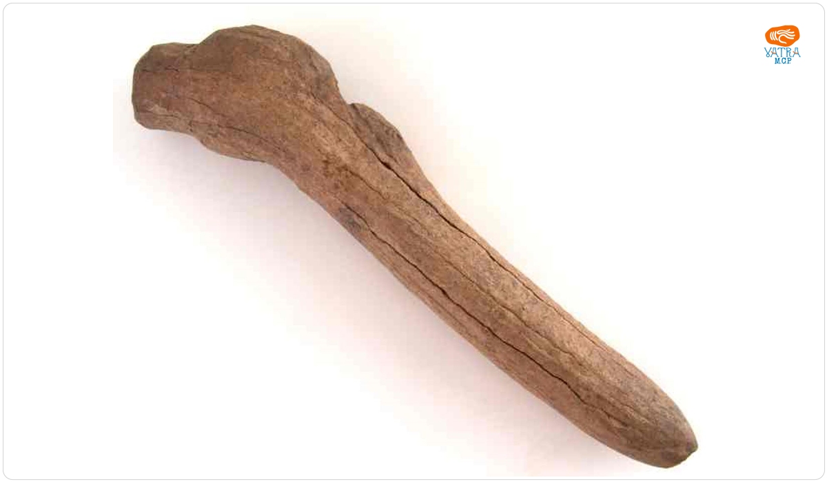Săpăligă