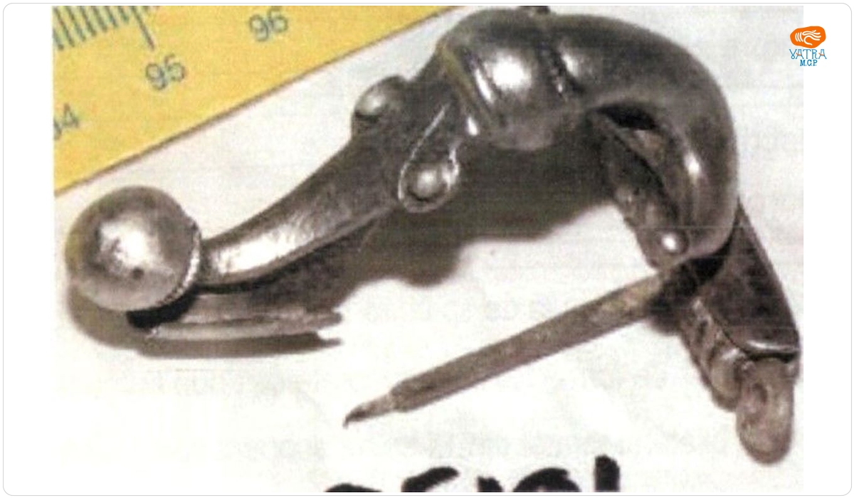 Fibulă