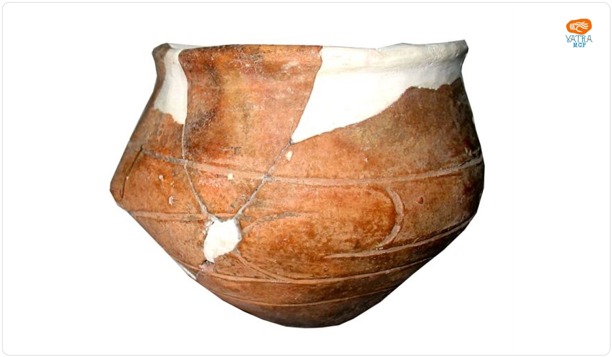 Cupă
