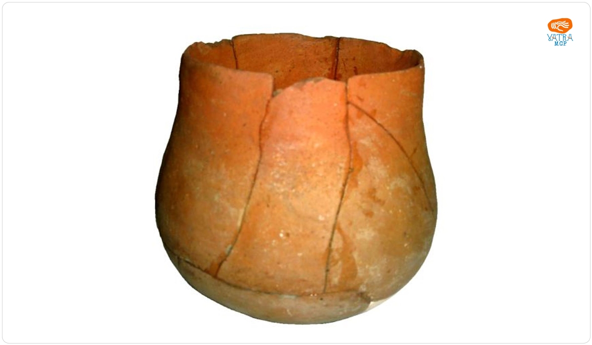 Cupă