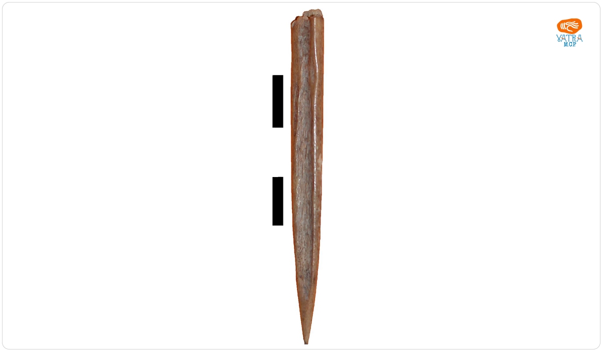 Vârf amenajat pe semimetapod proximal de ovicaprine
