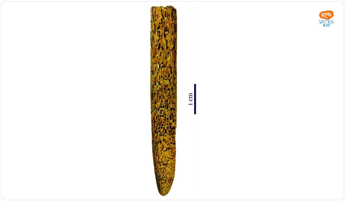 Lingur -spatulă