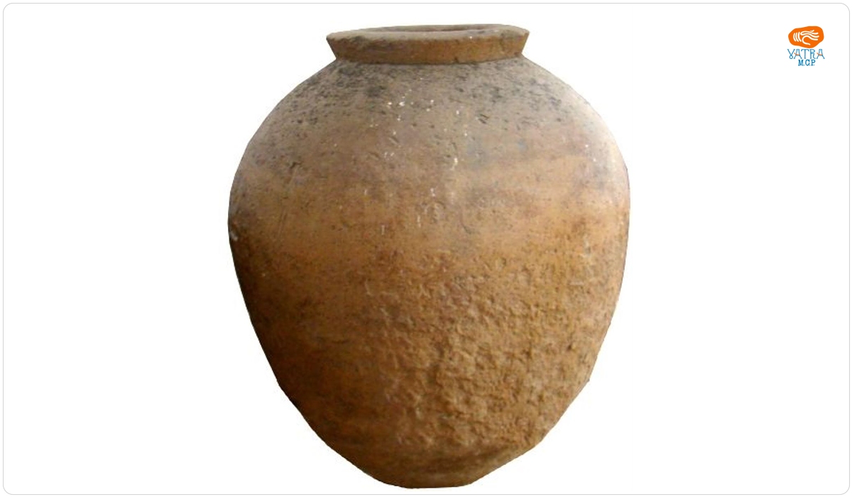 Dolia roman