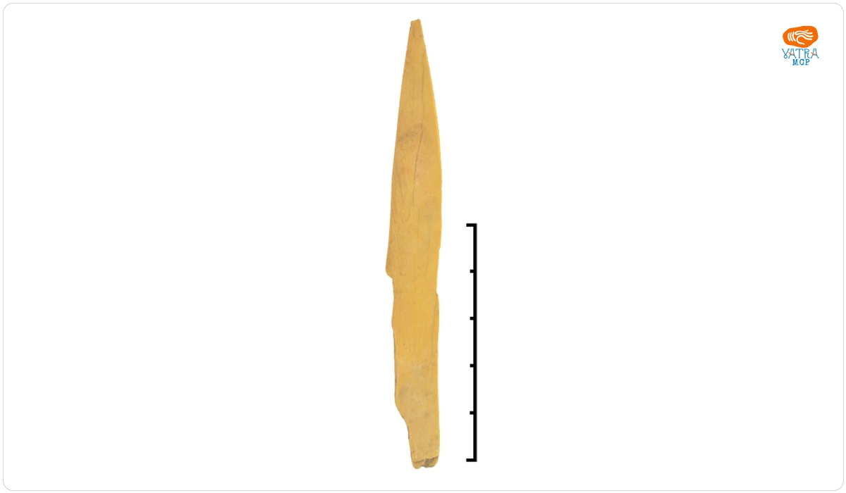 Sulă
