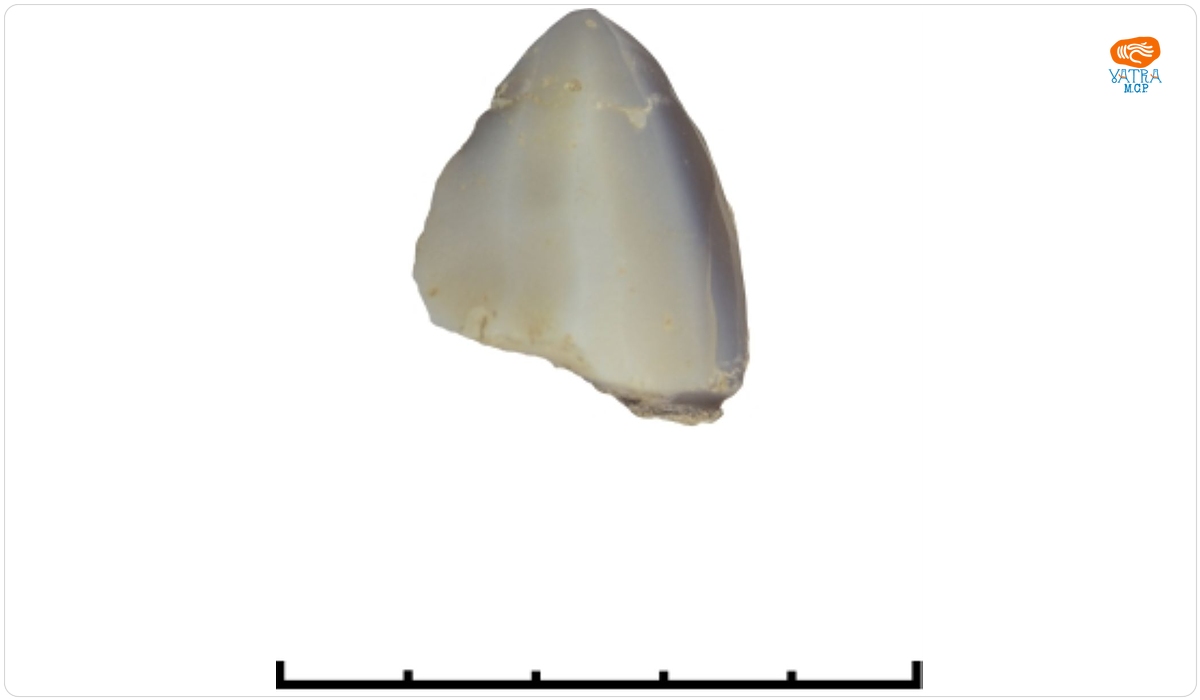 Nucleu de silex