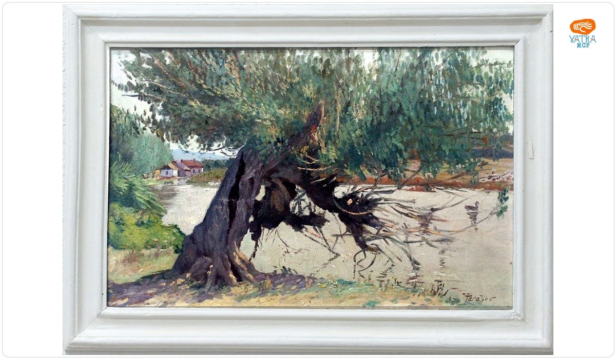 Stavru Tarasov — Răchită scorburoasă