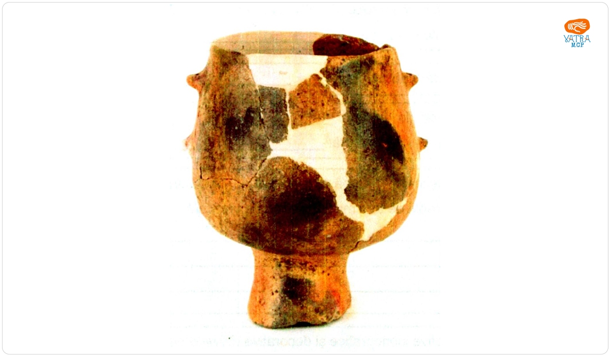 Cupă