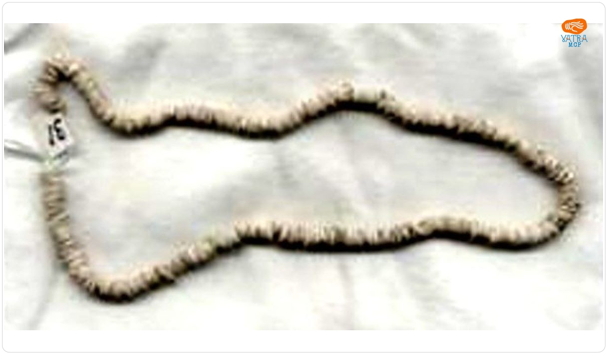 Colier de mărgele din scoică Spondylus