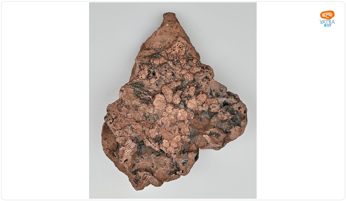 Material brut (turtă)