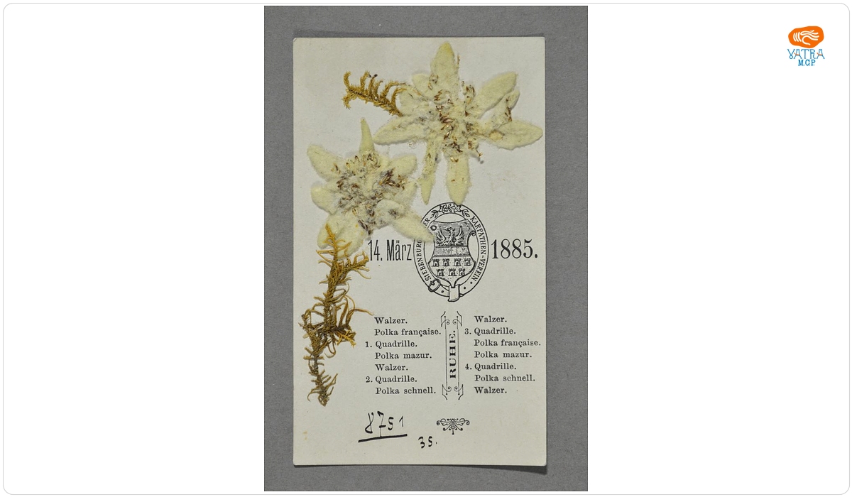 SIEBENBÜRGISCHER KARPATHEN-VEREIN/14 März 1885