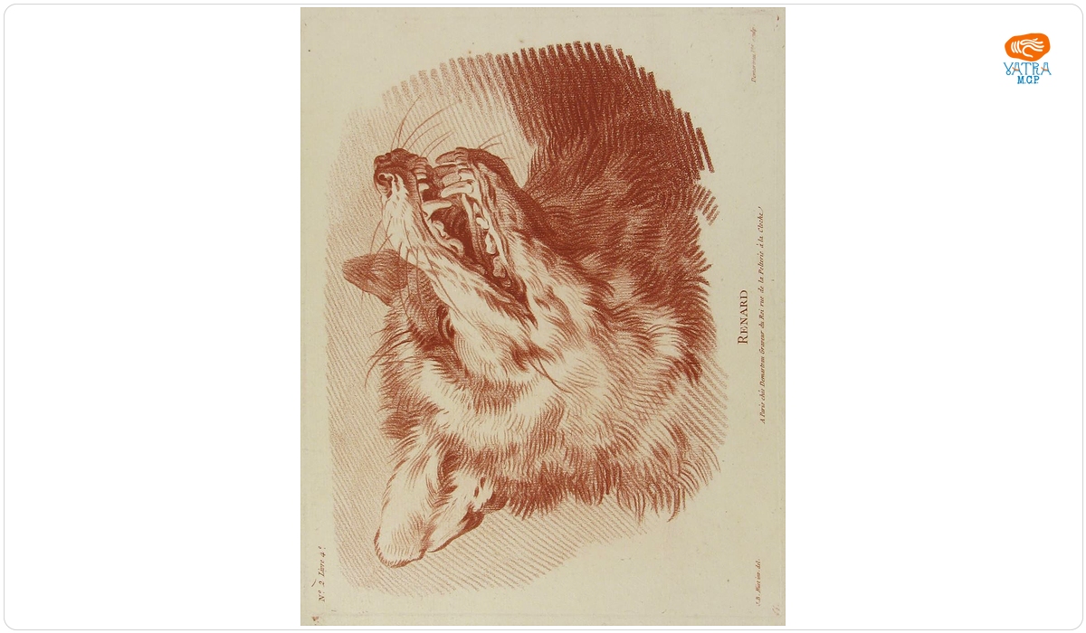 Demarteau, Gilles; (SC.); (EX.); Huet, Jean Baptiste; (INV.); (DEL.) — Renard (Vulpe); în registrul inventar: „Gravuri cu animale”